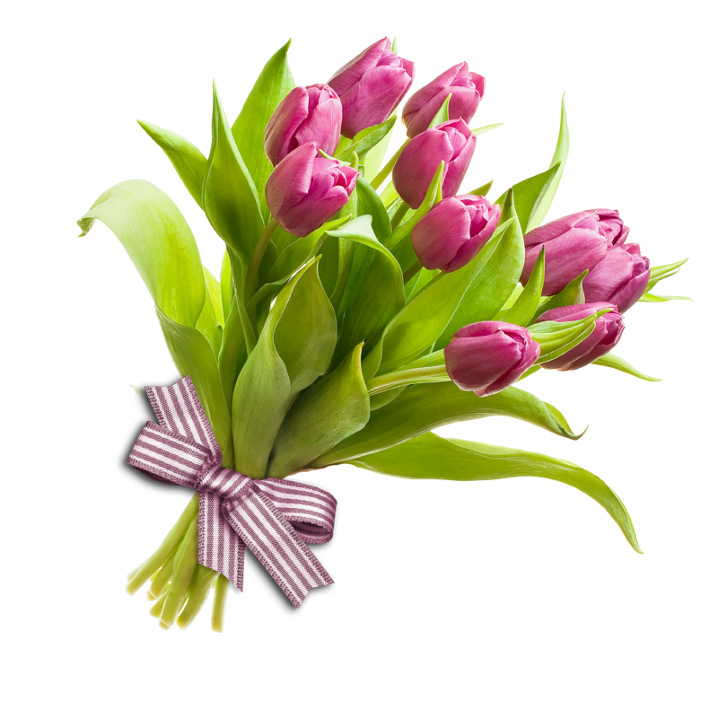 pink tulips flower bouquet png clipart 103647